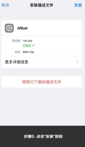 欧博ABG iOS版APP从下载到验证的完整安装流程示意图6